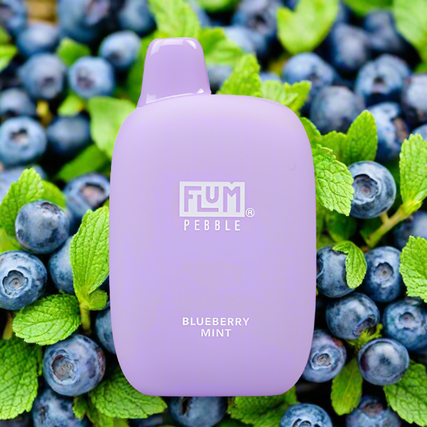 Flum Pebble 6k Blueberry Mint disposable vape