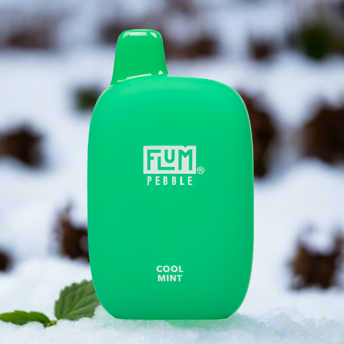 Flum Pebble 6k Cool Mint disposable vape with 6000 puffs