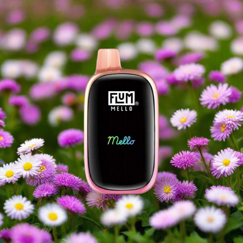 Flum Mello 20k - Daisy Jazzy disposable vape with floral and fruity flavors