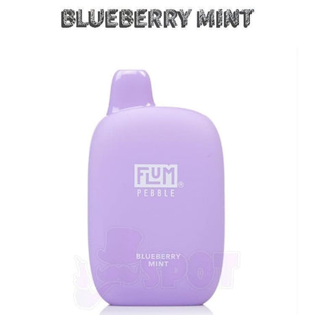 Blueberry Mint Flum Pebble 6000 - Blueberry Mint Flum Pebble 6000 - undefined - DISPOSABLE - smokespotvape.com
