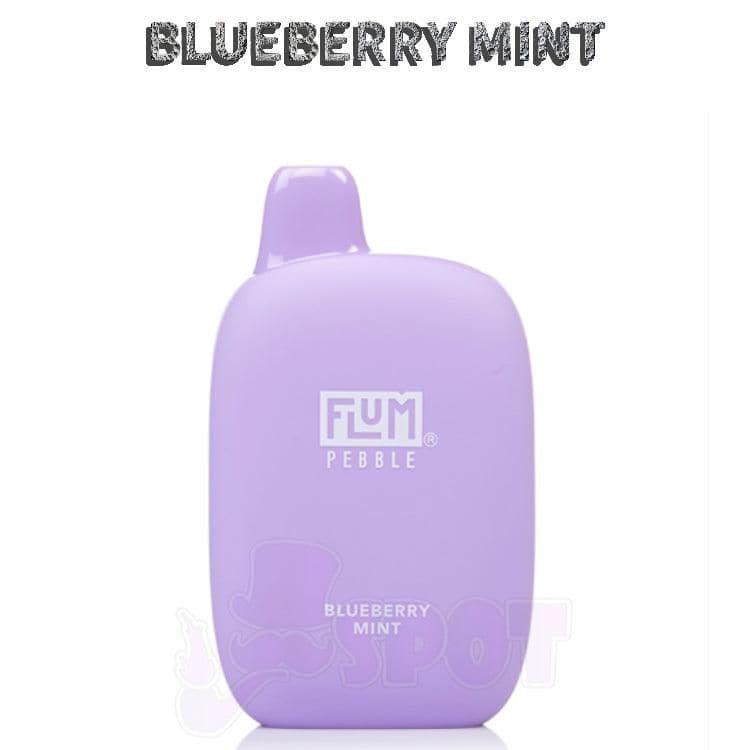Blueberry Mint Flum Pebble 6000 Flum Pebble SSV