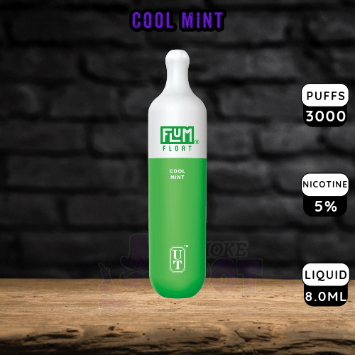 Cool Mint Flum Float 3000 Disposable Vape, 3000 puffs