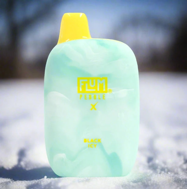 Flum Pebble X 6k disposable vape in Black Icy flavor