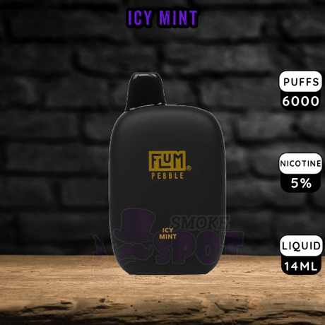 Icy Mint Flum Pebble 6000 - Icy Mint Flum Pebble 6000 - undefined - DISPOSABLE - smokespotvape.com