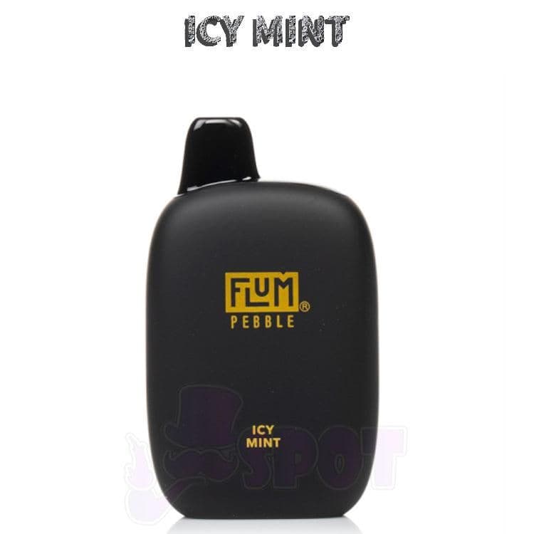 Icy Mint Flum Pebble 6000 - Icy Mint Flum Pebble 6000 - undefined - DISPOSABLE - smokespotvape.com